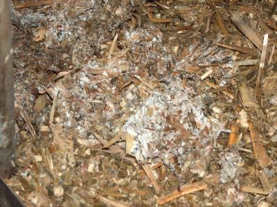 Yemdeki Toksik Maddeler