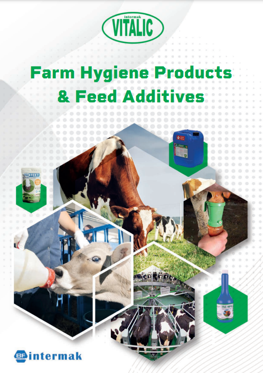 Vitalic Yem Katkı Ürünleri