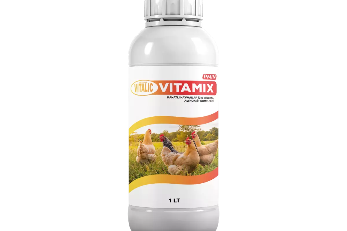 Vitalic Vitamix Pmin